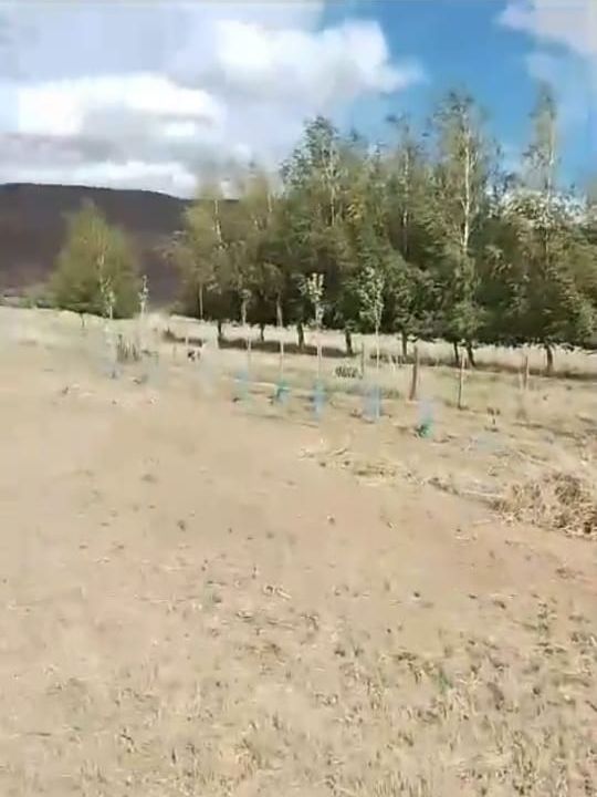 Campo EN VENTA