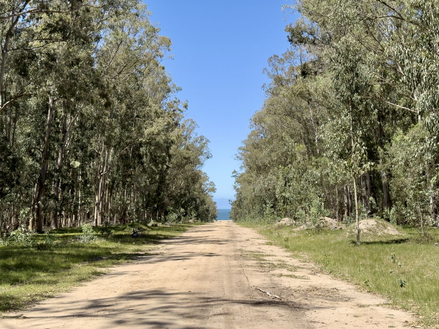 Terreno en venta San Vicente