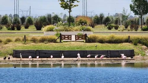 VENTA DE LOTE EN San Vicente - Santa Clara al Sur - 3
