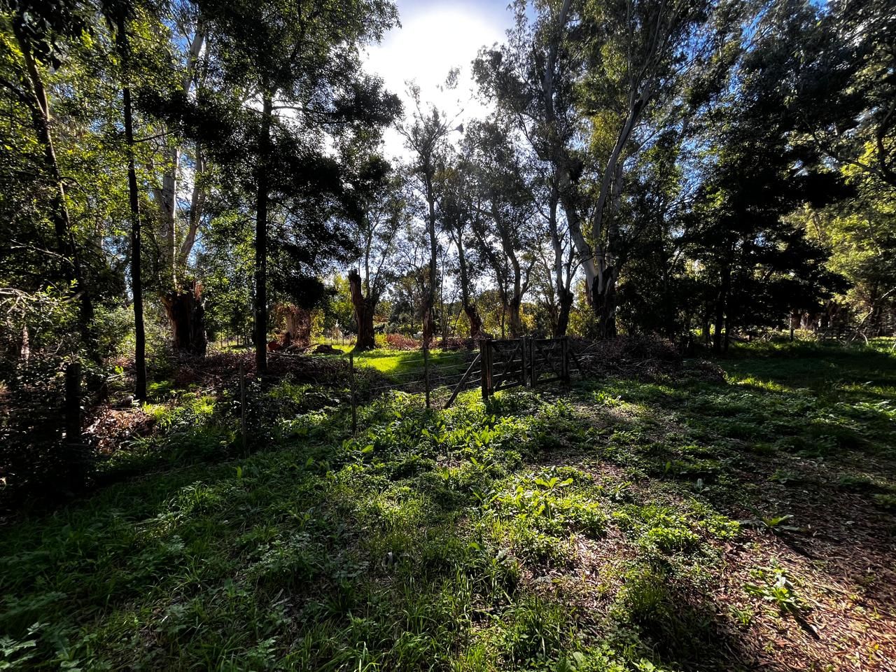 Lote EN VENTA