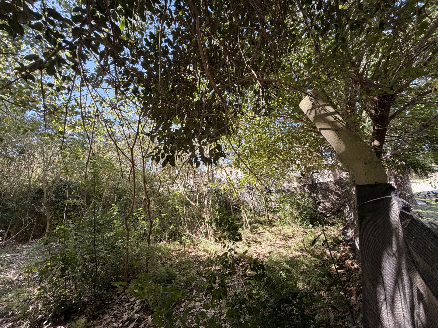Lote EN VENTA