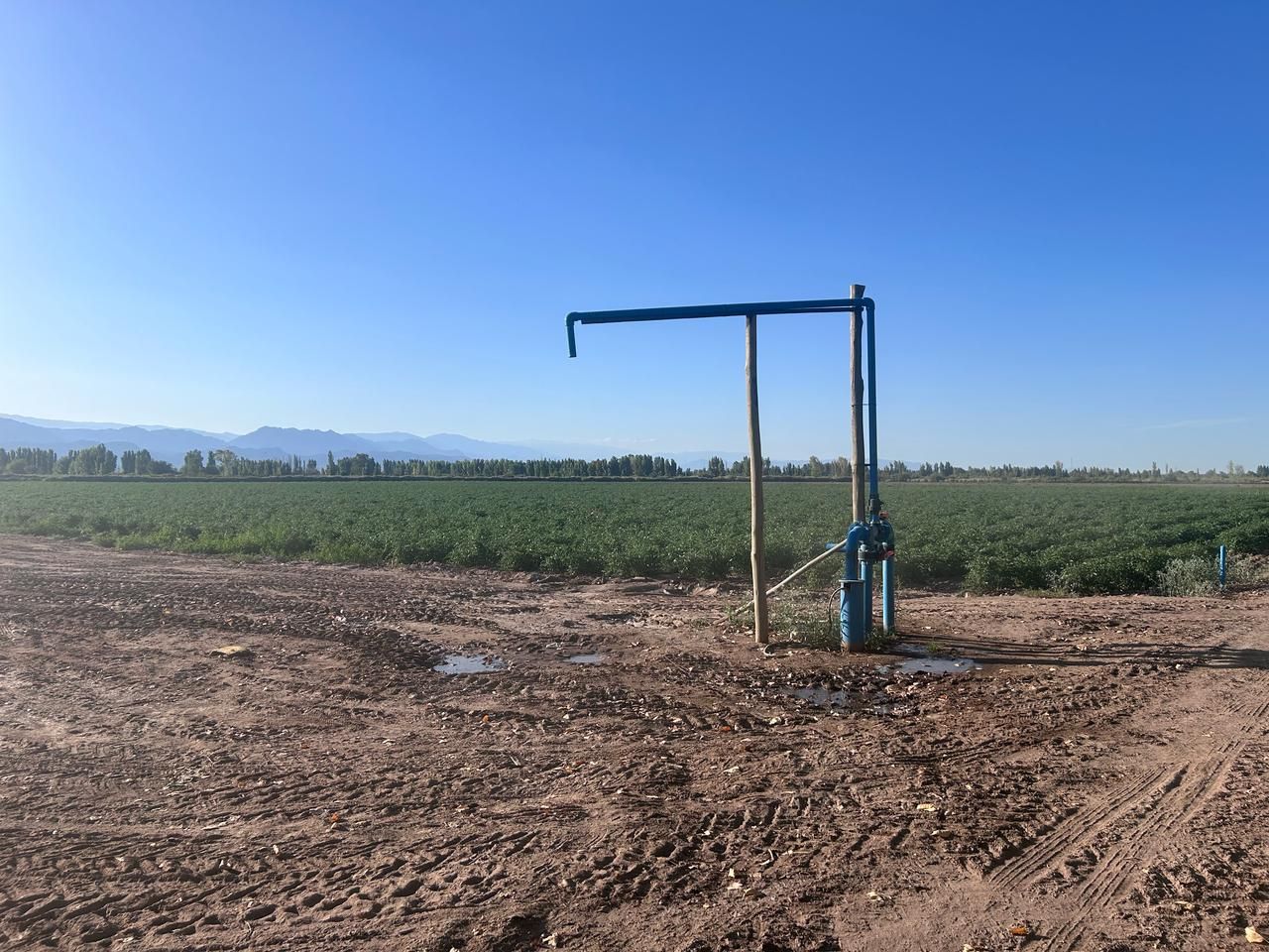 Casa Quinta en Venta en Lavalle, Mendoza