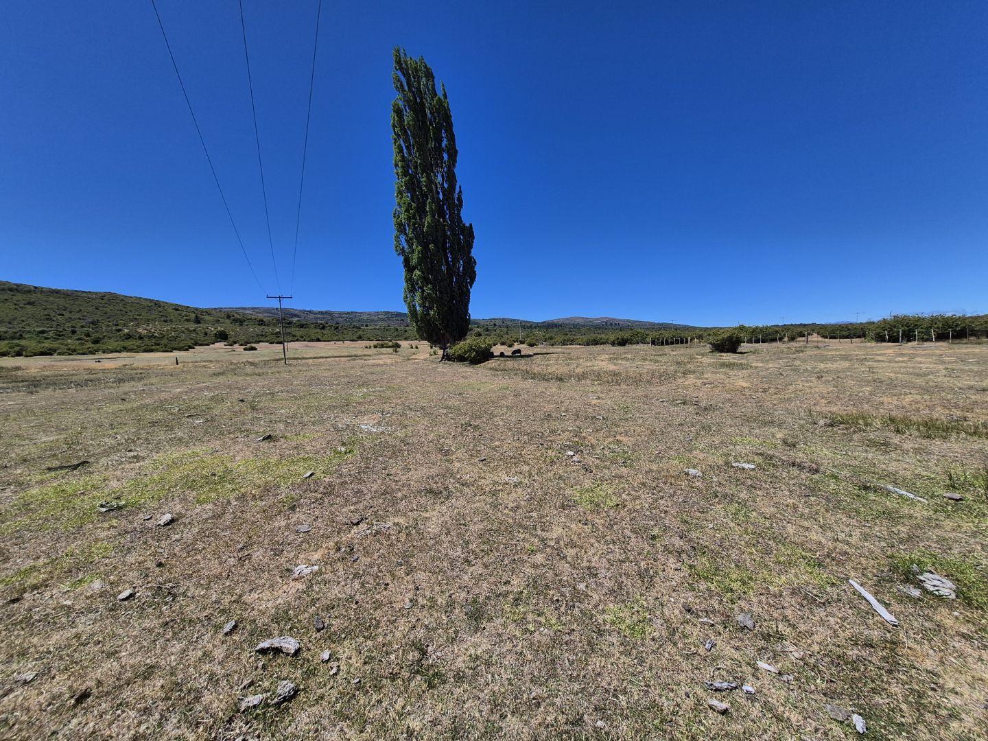 Campo EN VENTA