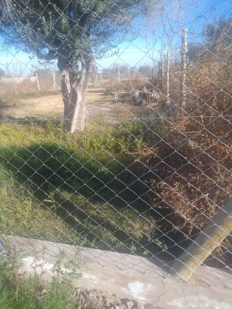 Lote en Venta en Lujan de Cuyo, Mendoza