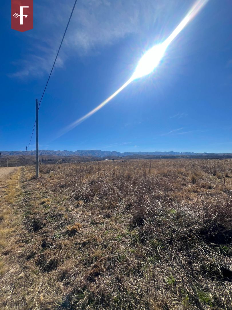 VENTA DE LOTE EN ESTANCIA GRANDE - ALTO BUENA VISTA - 5
