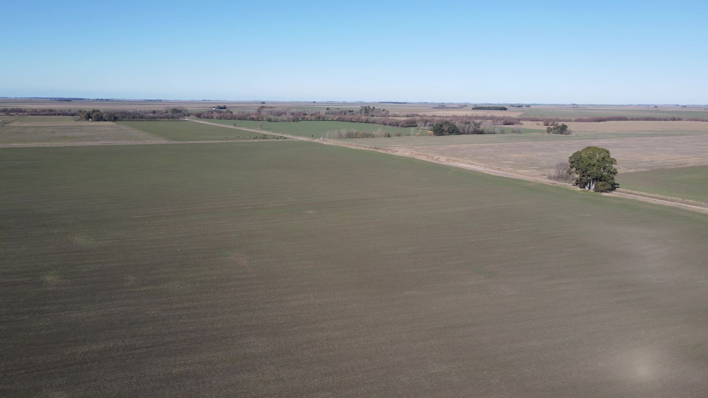 Campo EN VENTA