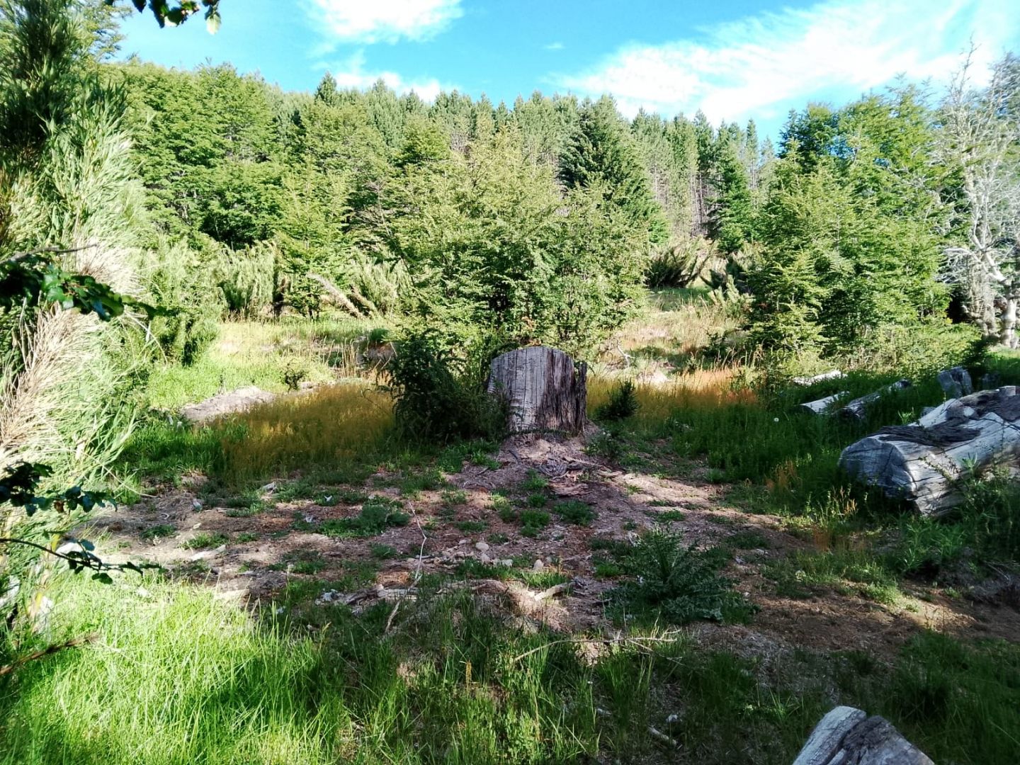 Lote en Venta en San Martin de los Andes, Neuquen