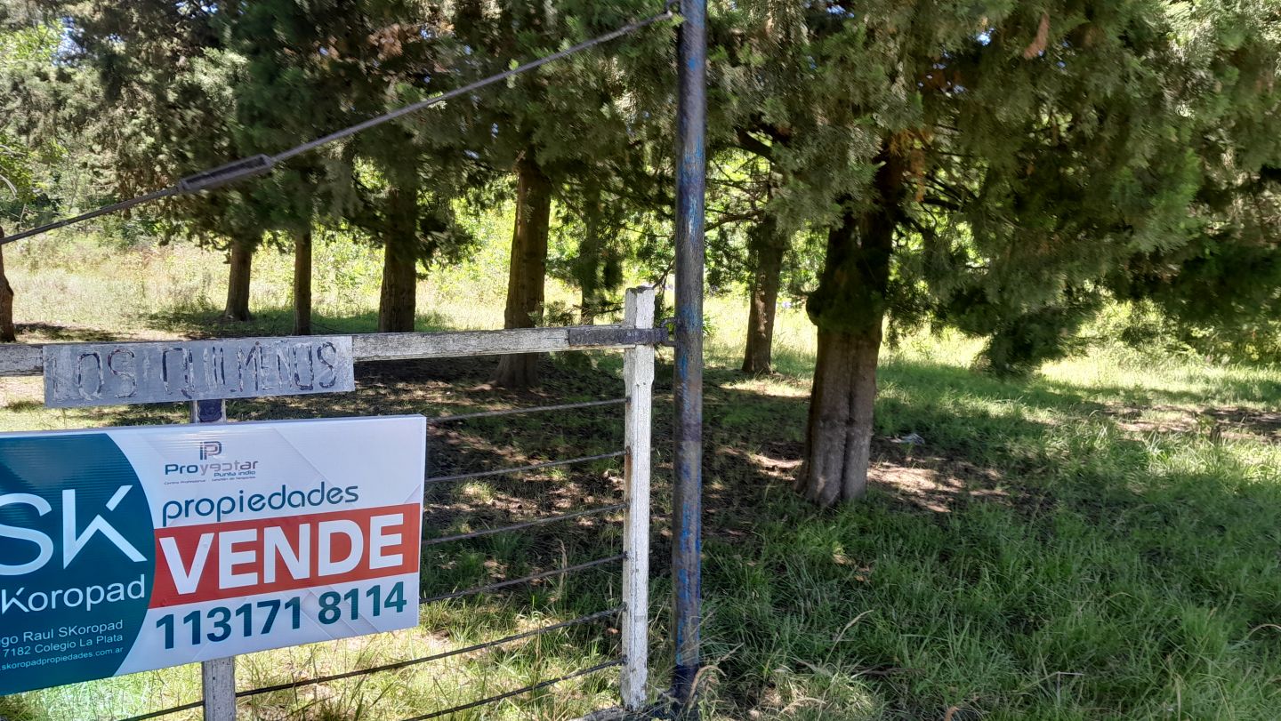 Lote en Venta en Punta Indio, Buenos Aires Interior