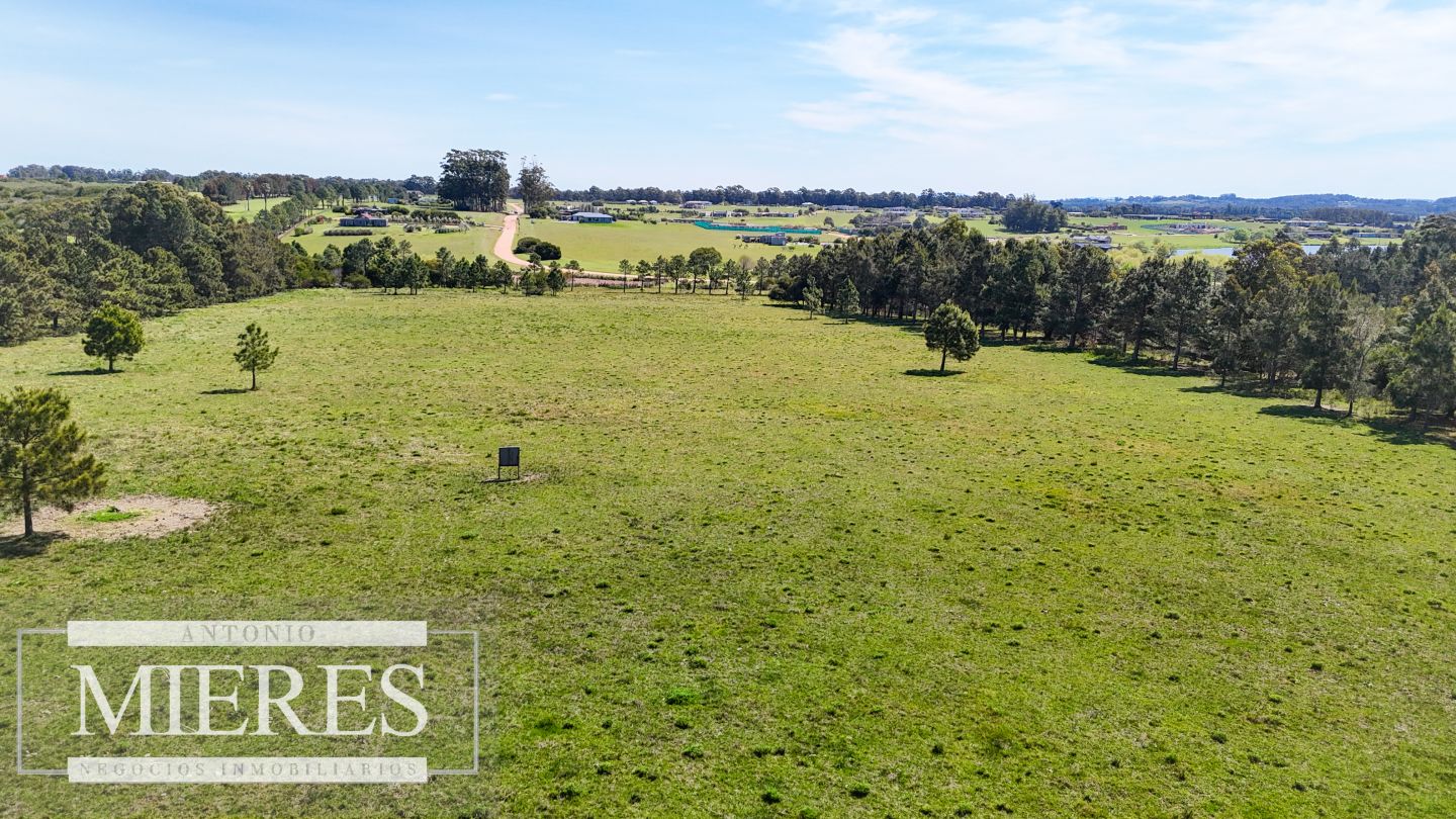 Quinta EN VENTA