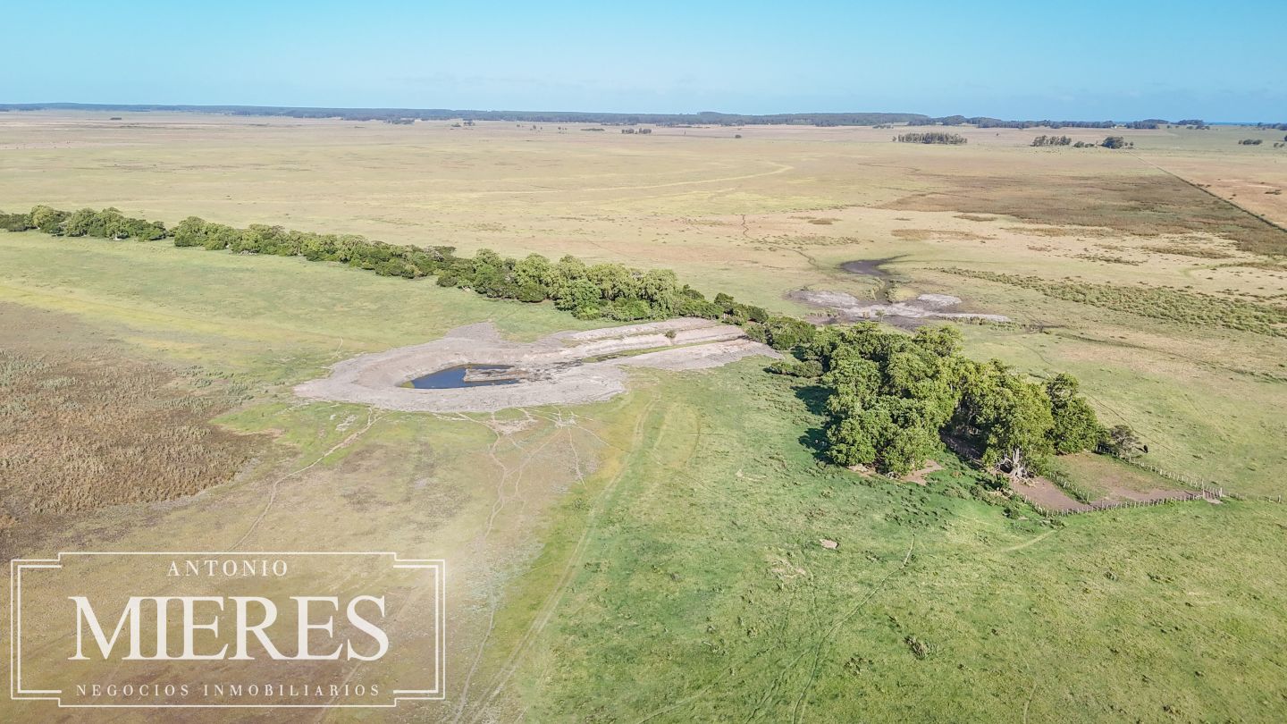 Campo EN VENTA