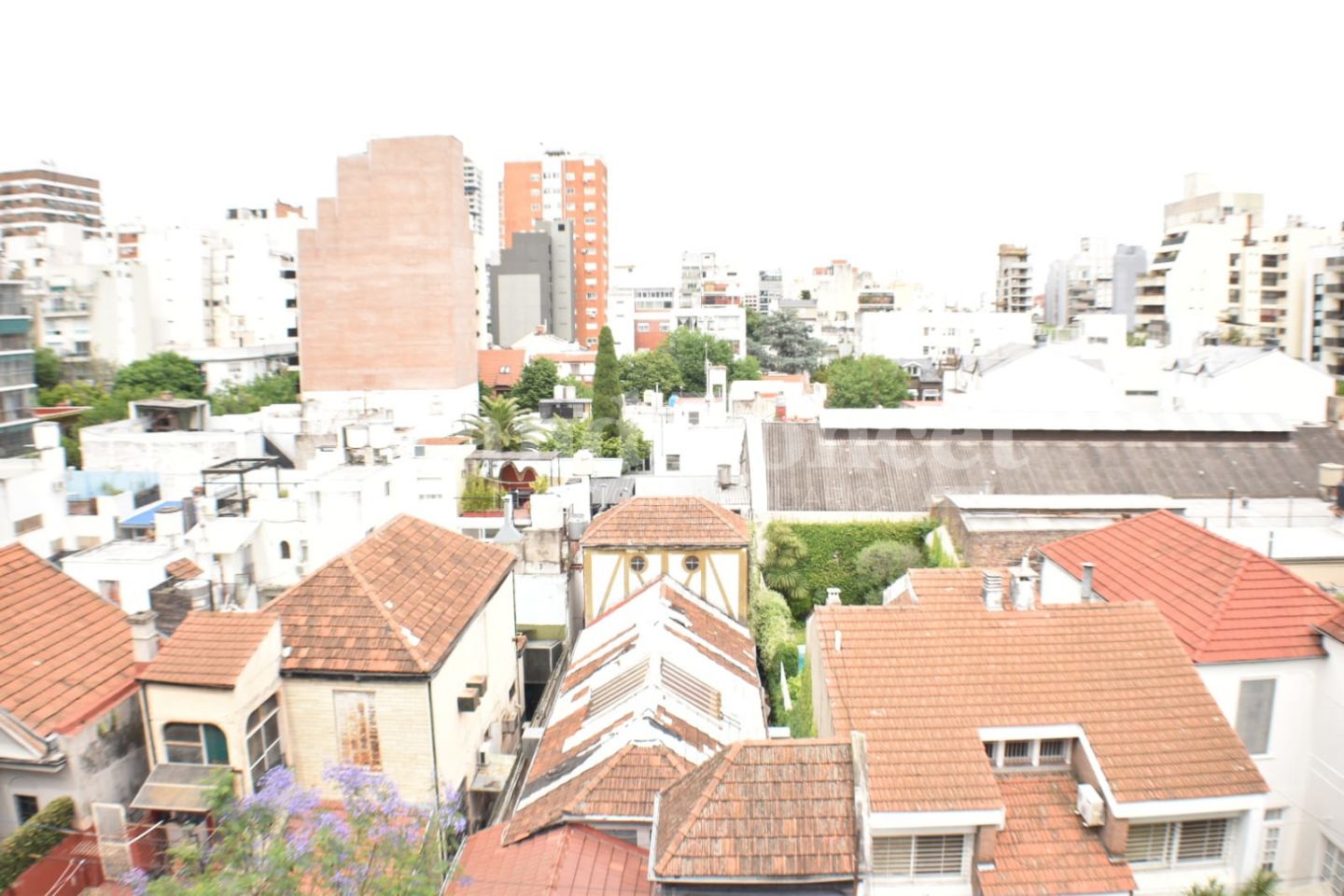 ALQUILER DE DEPARTAMENTO EN Capital Federal - Belgrano - 20