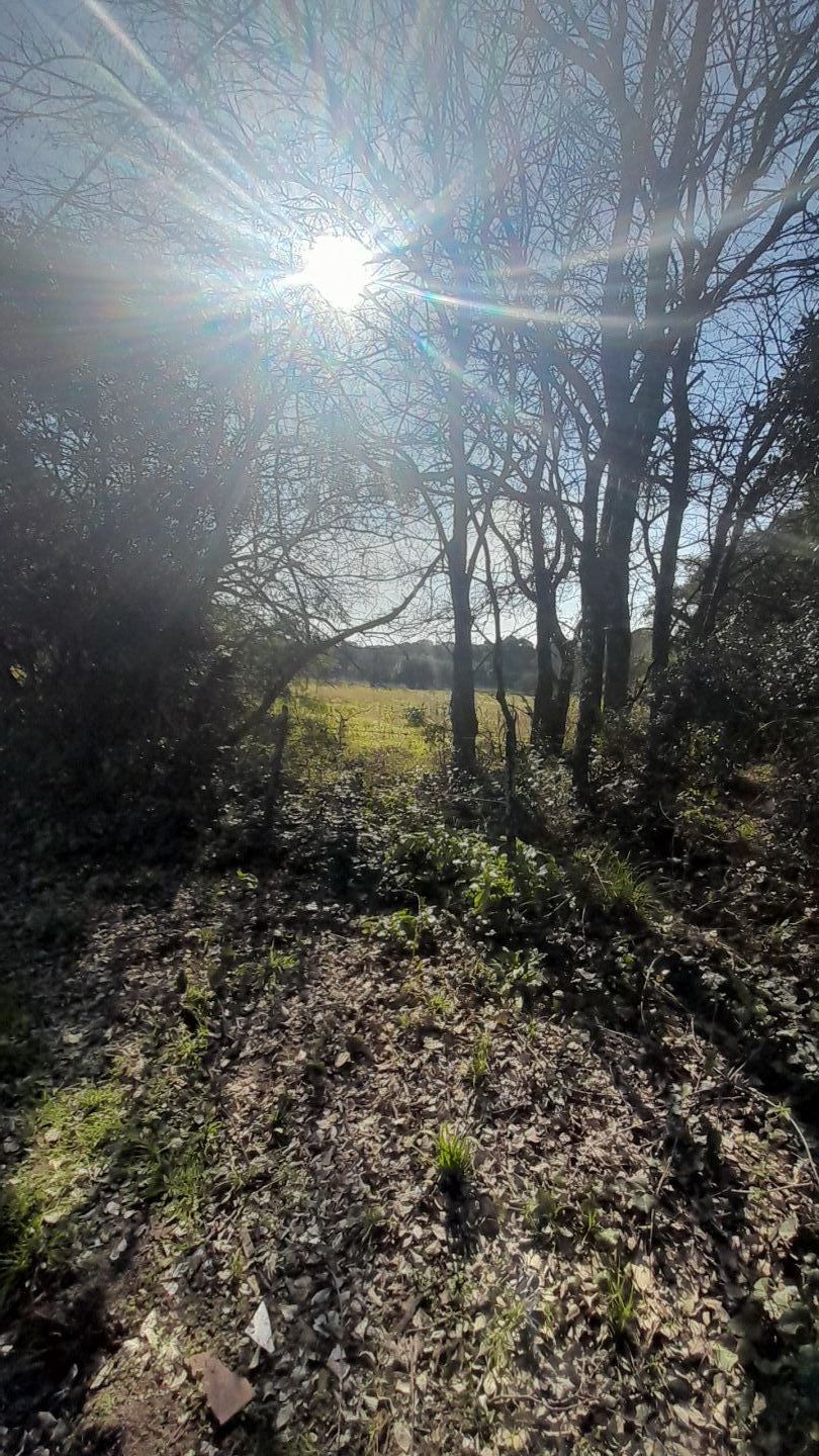 Lote EN VENTA