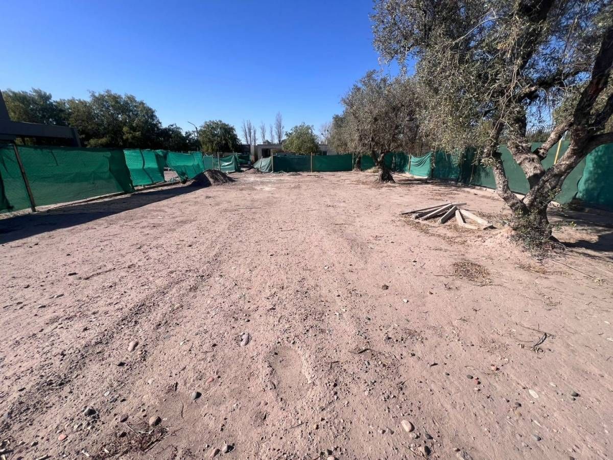 Lote en Venta en Lujan de Cuyo, Mendoza