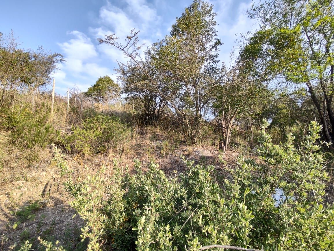 Lote EN VENTA