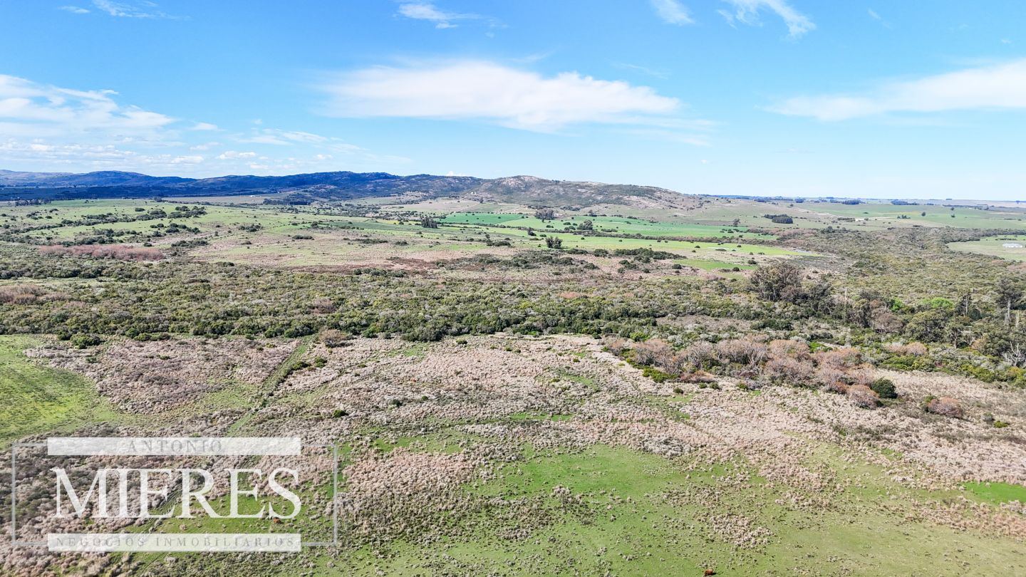 Campo EN VENTA