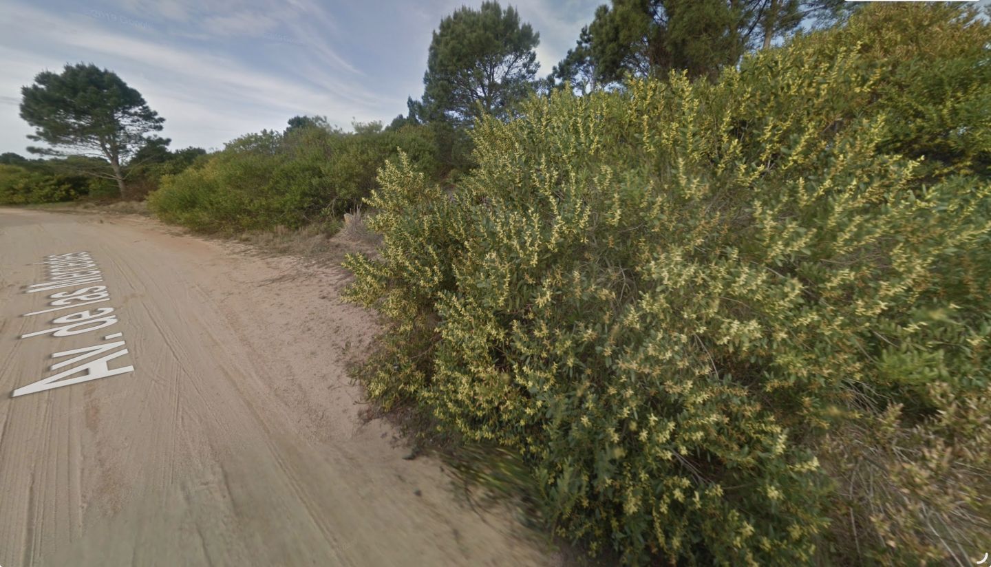 Terreno en venta José Ignacio