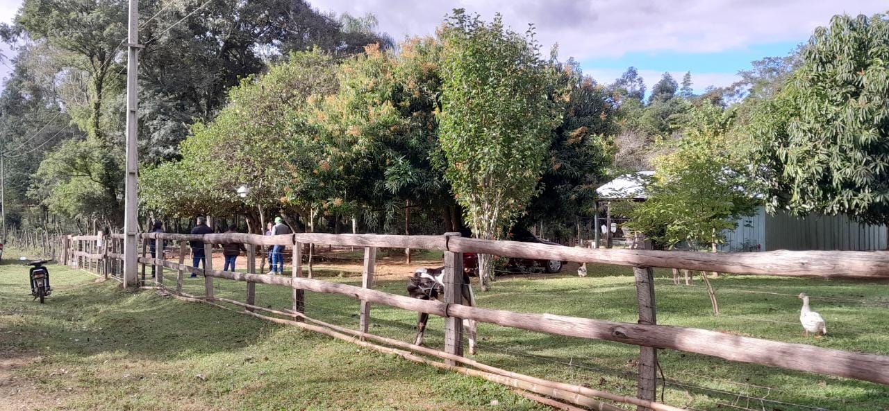 Terreno en venta Colonia Genaro Romero 