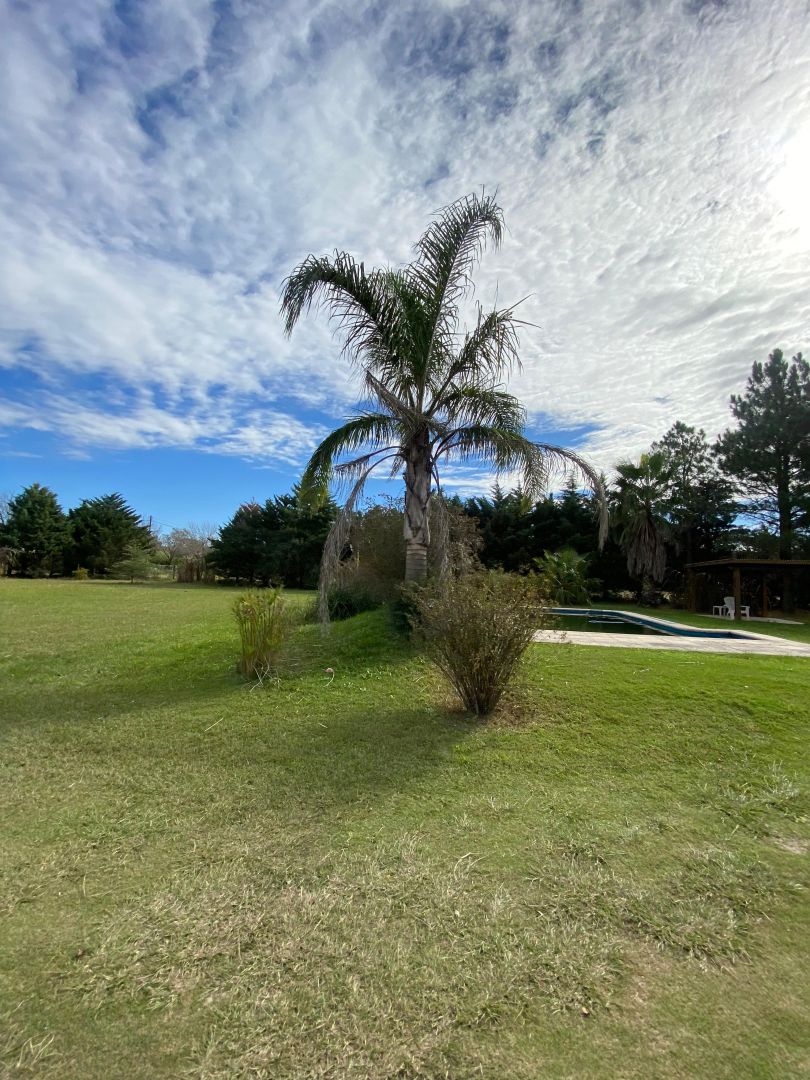 VENTA DE CASA EN Villa Parque Santa Ana - 6