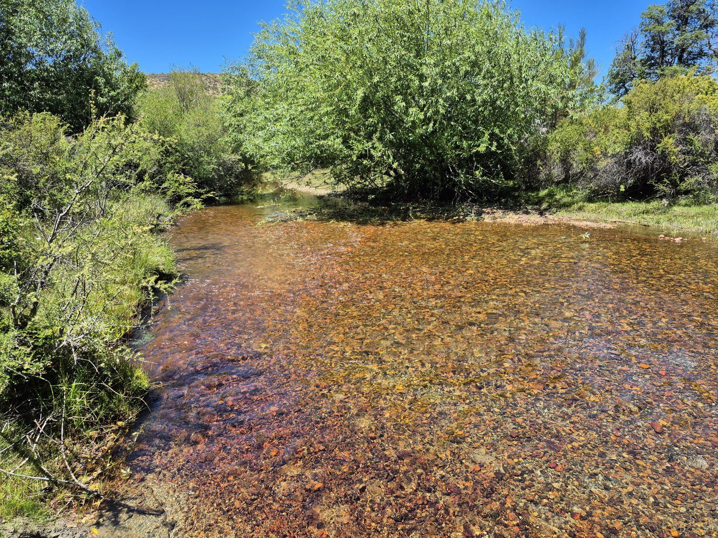VENTA DE CAMPO EN Cholila - 27