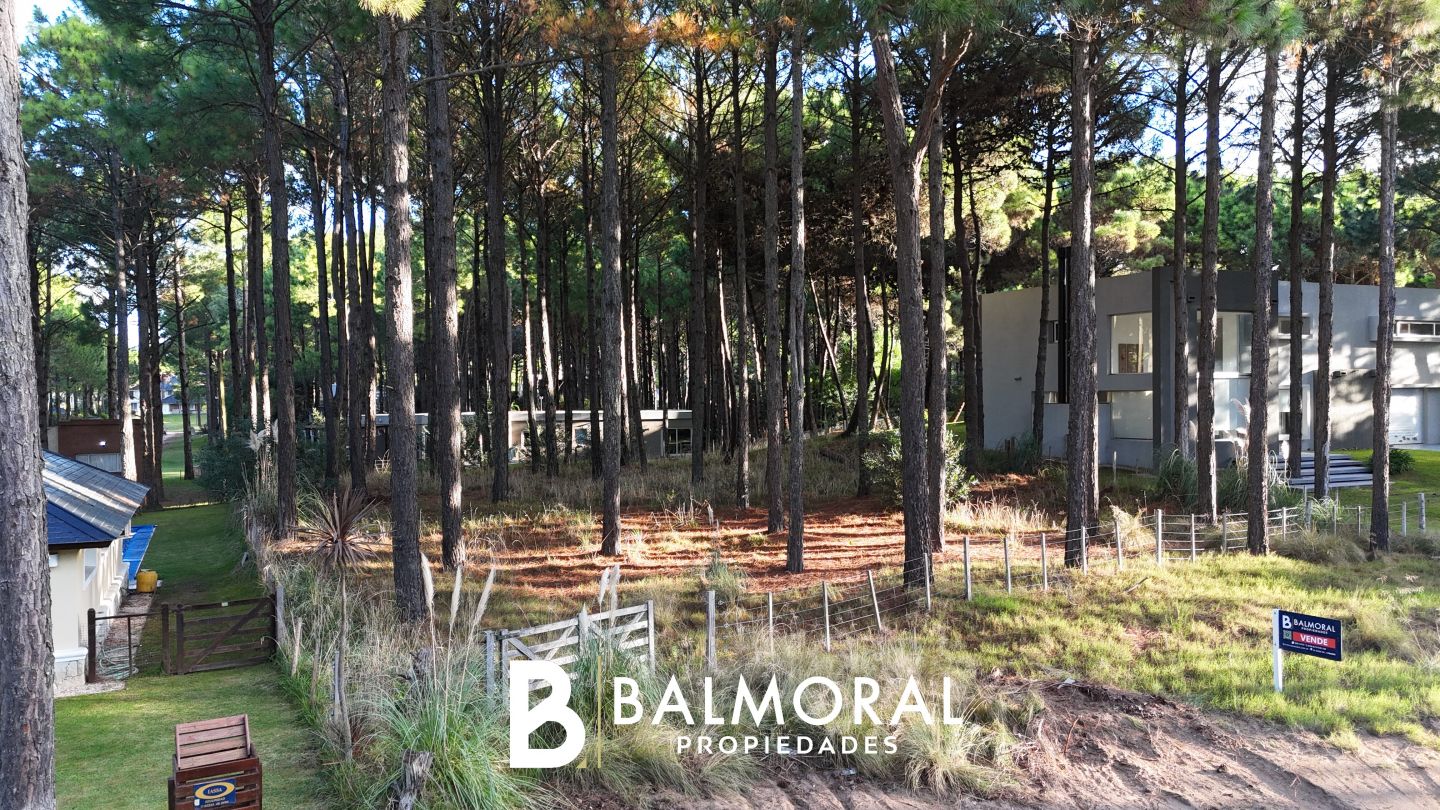 Lote EN VENTA