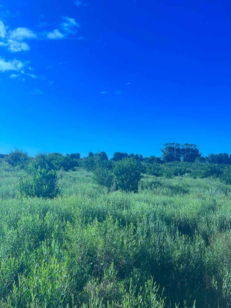 Lote EN VENTA