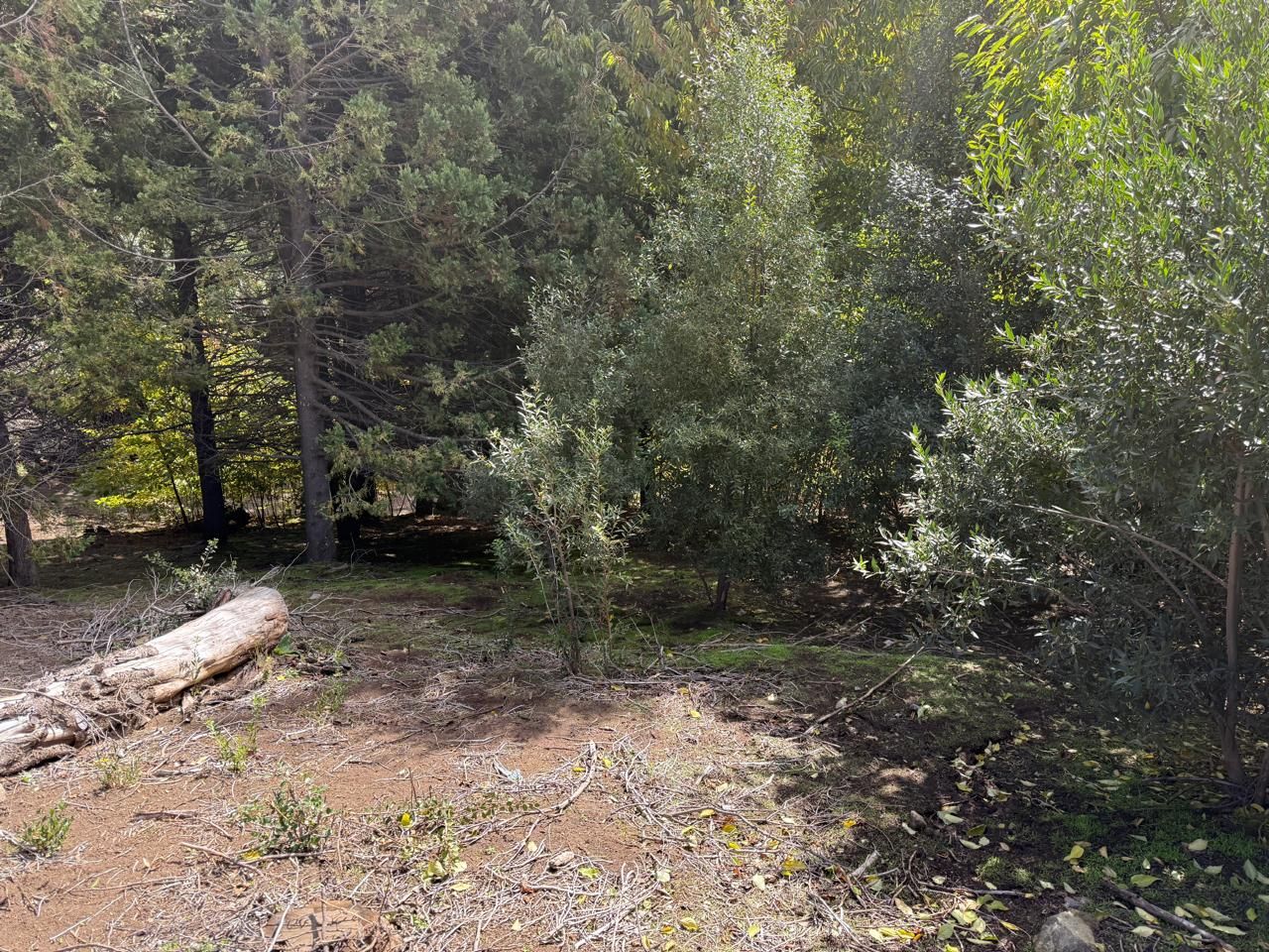 Lote en Venta en San Martin de los Andes, Neuquen