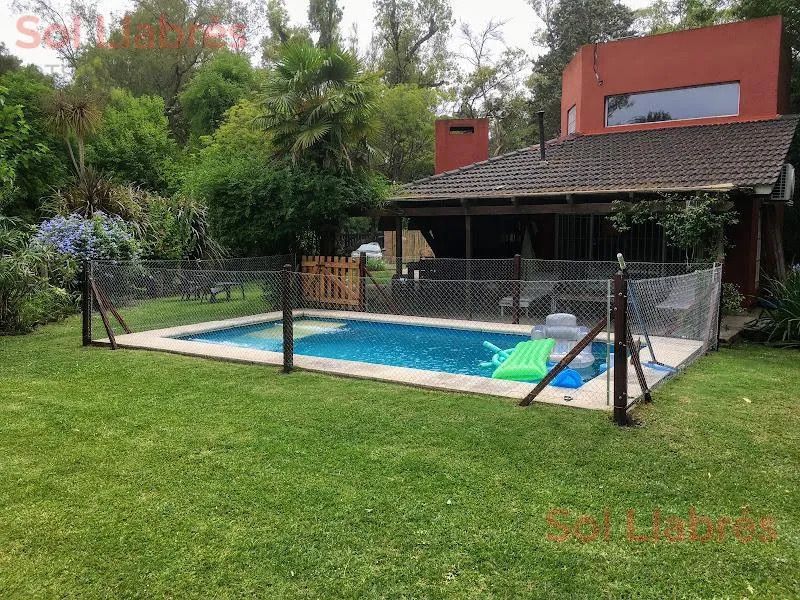 Imagen 12