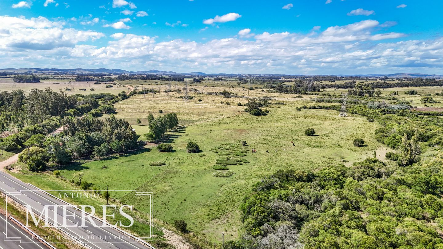 Quinta EN VENTA