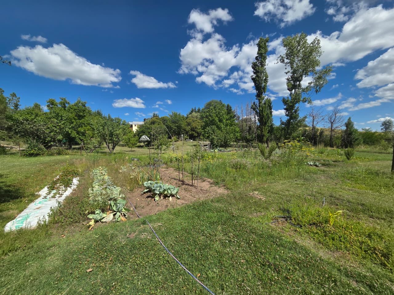 Lote EN VENTA