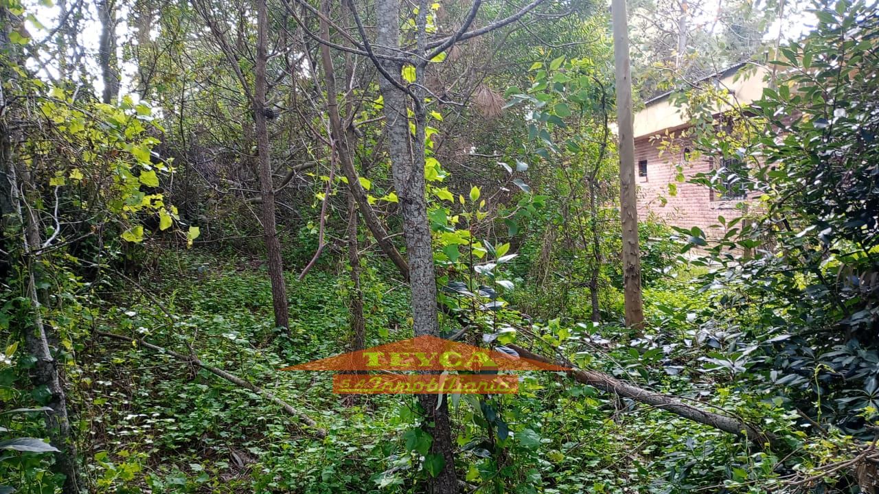 Lote en venta Mar De Ostende 0 ambientes
