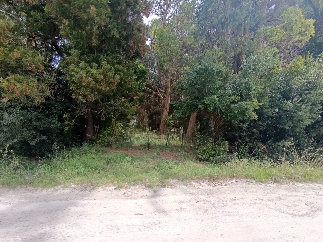 Lote EN VENTA