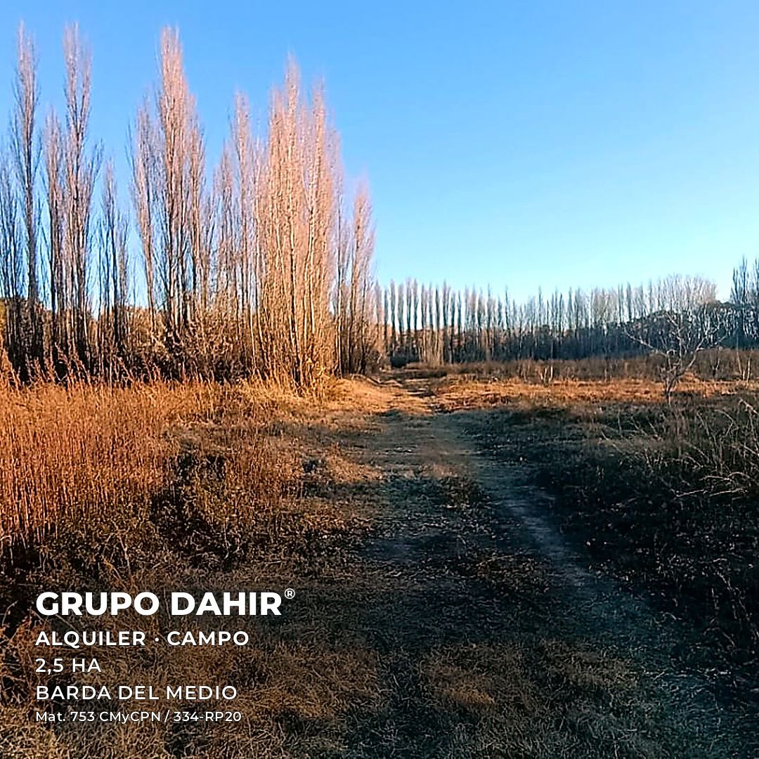 Campo en Barda del Medio — foto 1