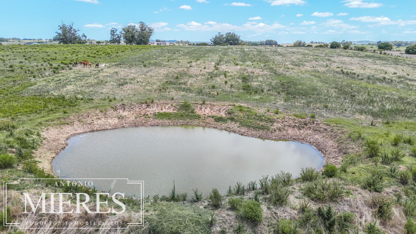 Quinta EN VENTA