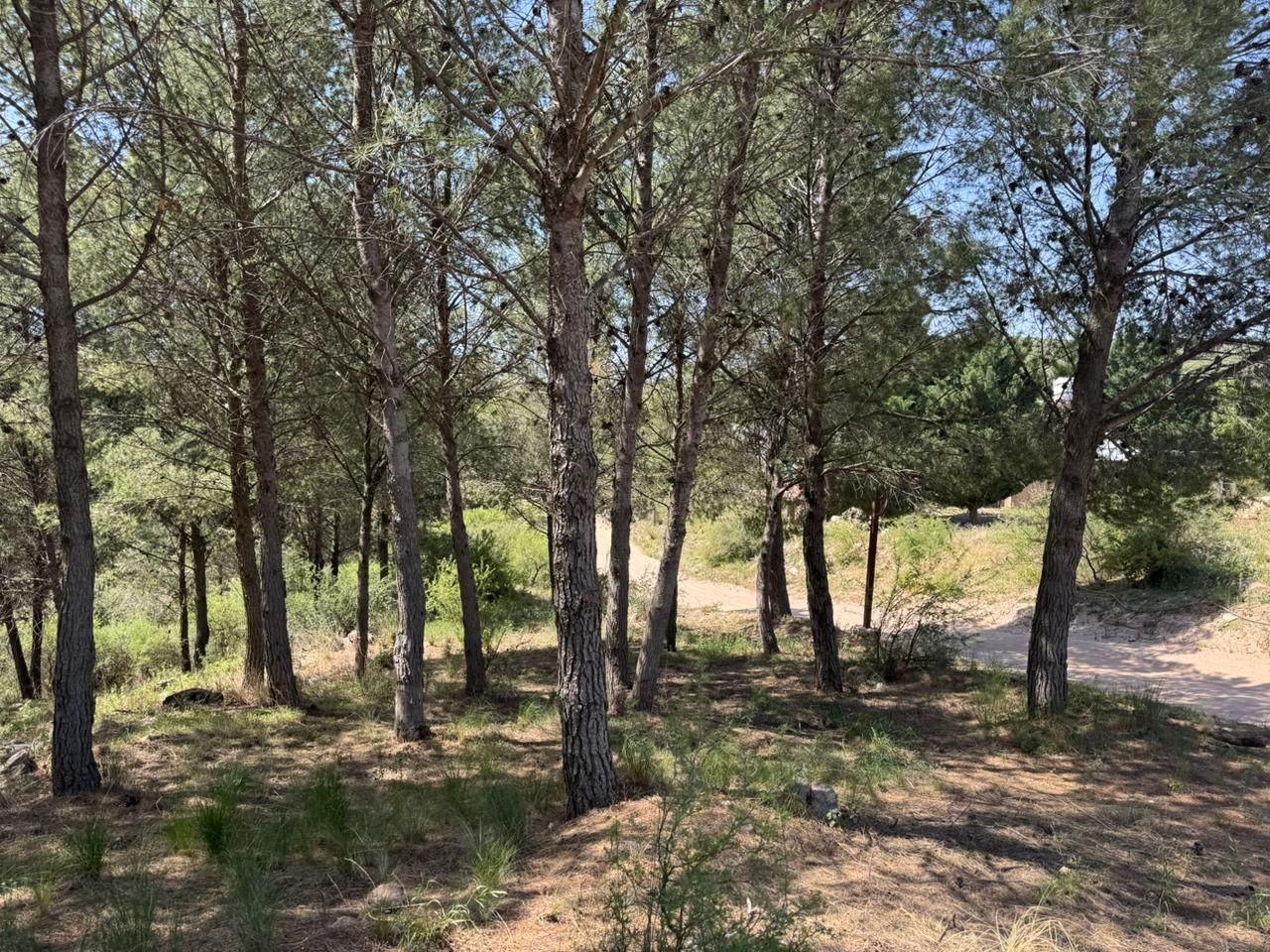 Lote EN VENTA