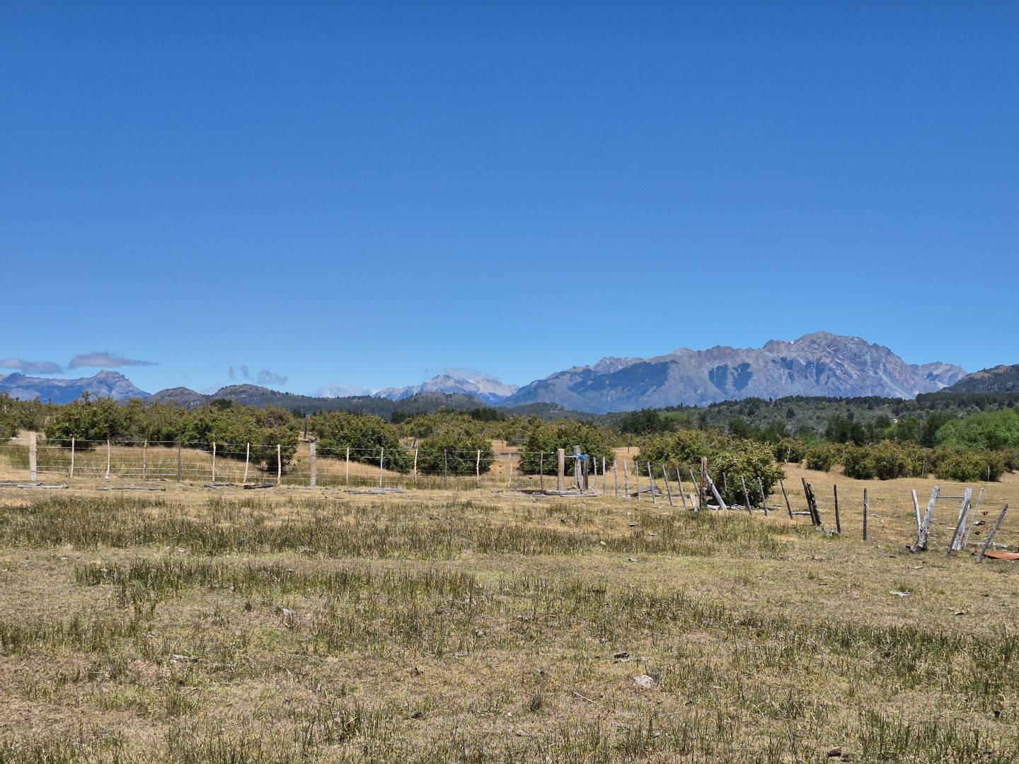 Campo EN VENTA