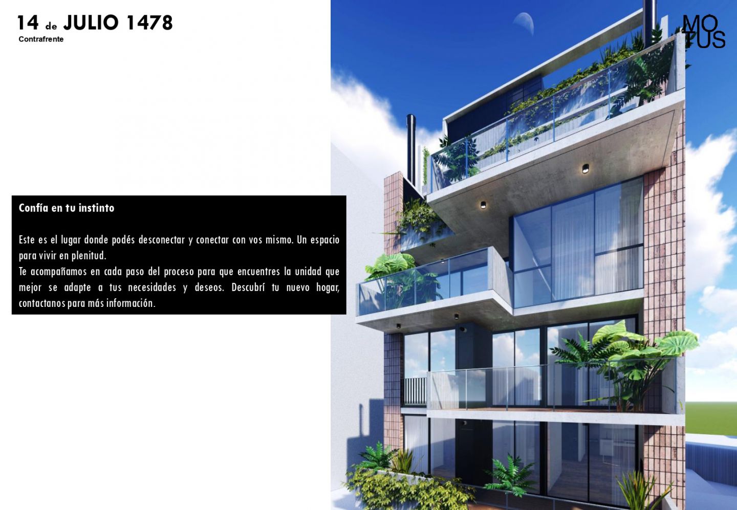 Imagen 23