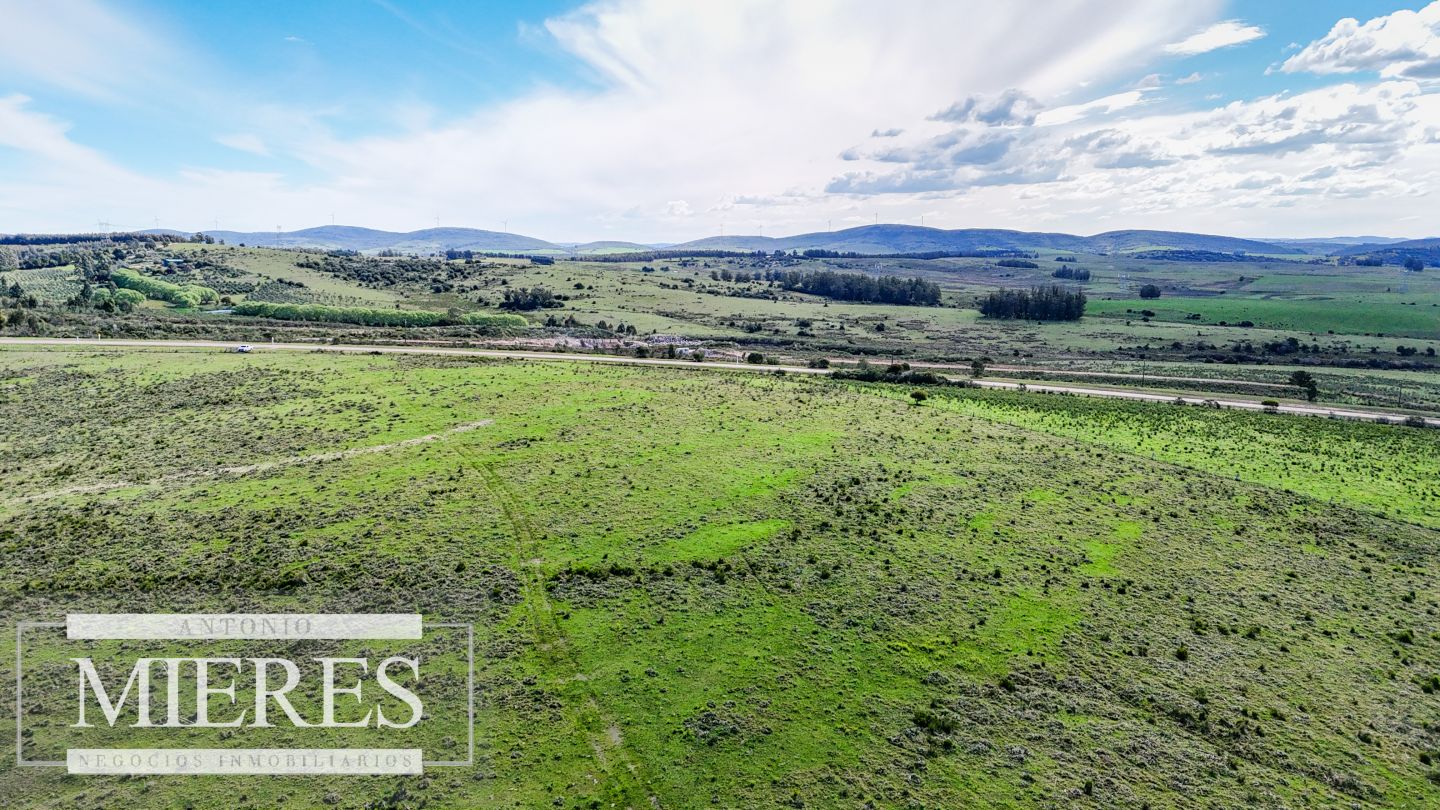 Campo EN VENTA
