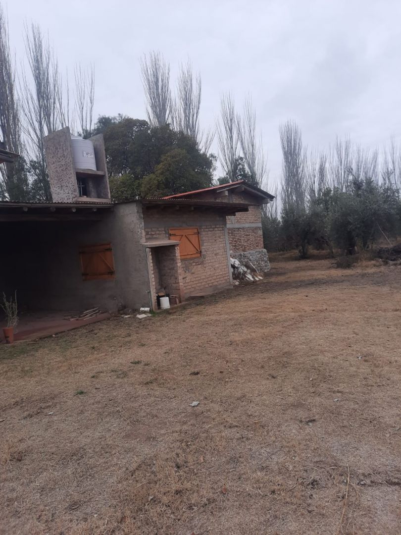 Campo en Venta en Junin, Buenos Aires Interior