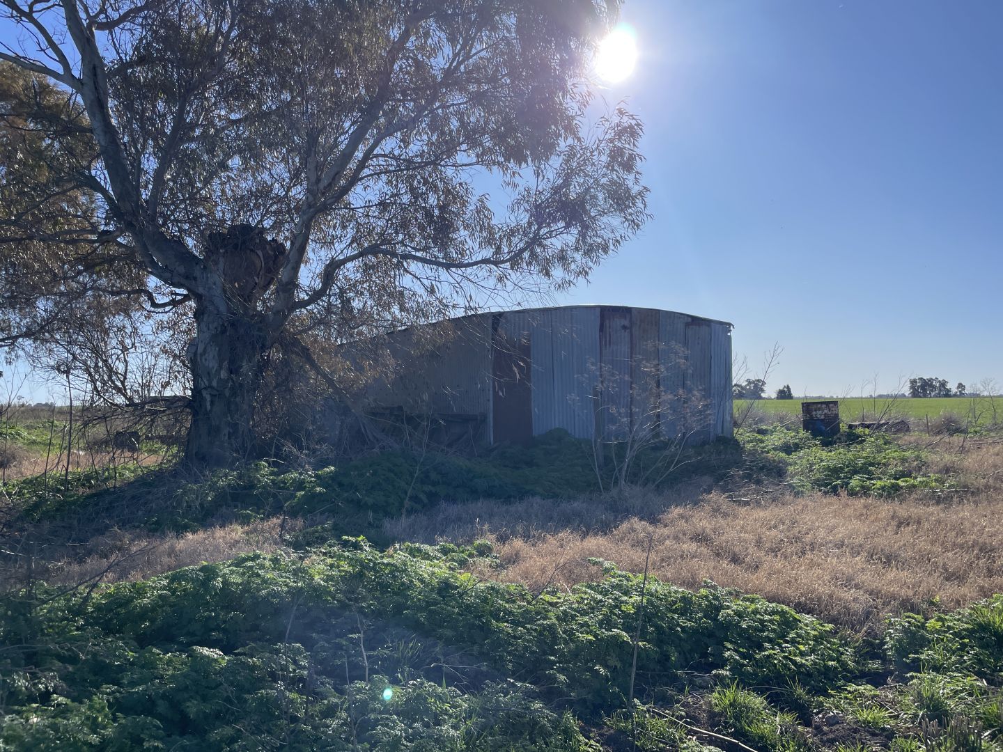 Campo EN VENTA