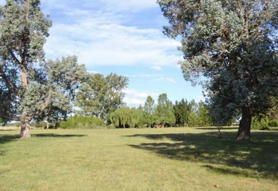 Campo EN VENTA