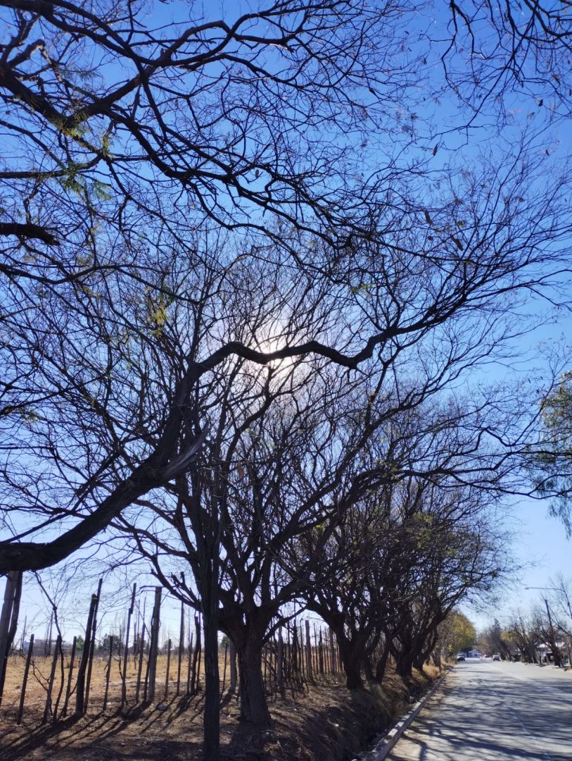 Lote en Venta en San Rafael, Mendoza