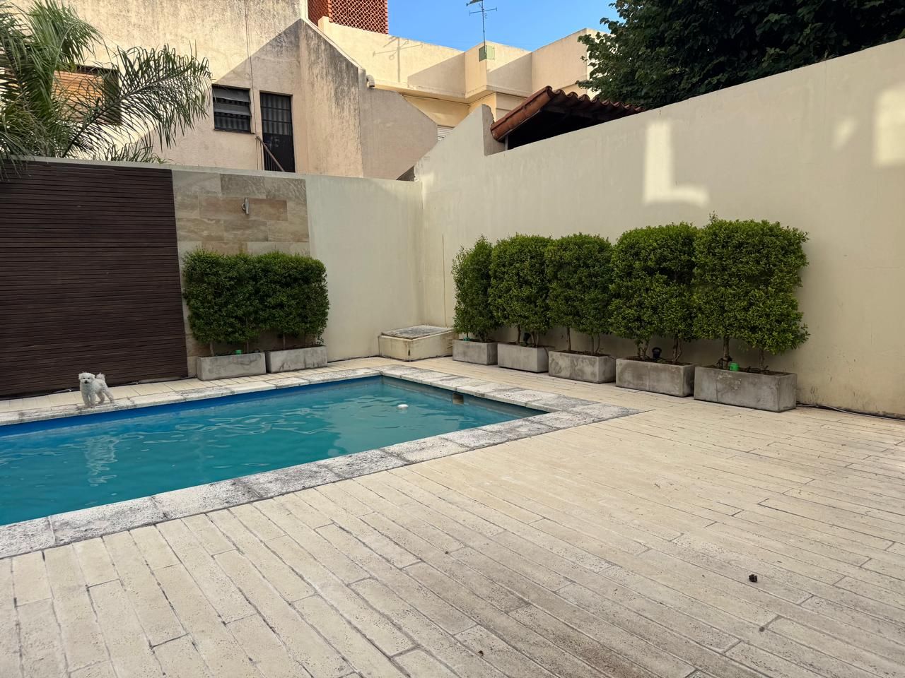 VENTA DE DEPARTAMENTO EN Capital Federal - Villa Devoto - 37