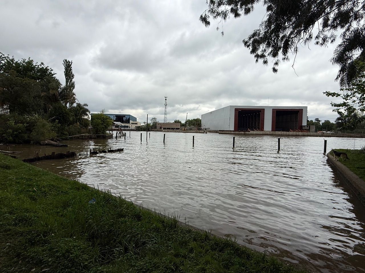 Imagen 6
