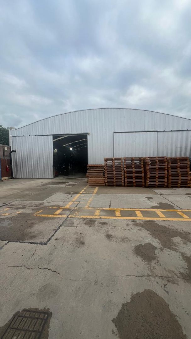 Imagen 17