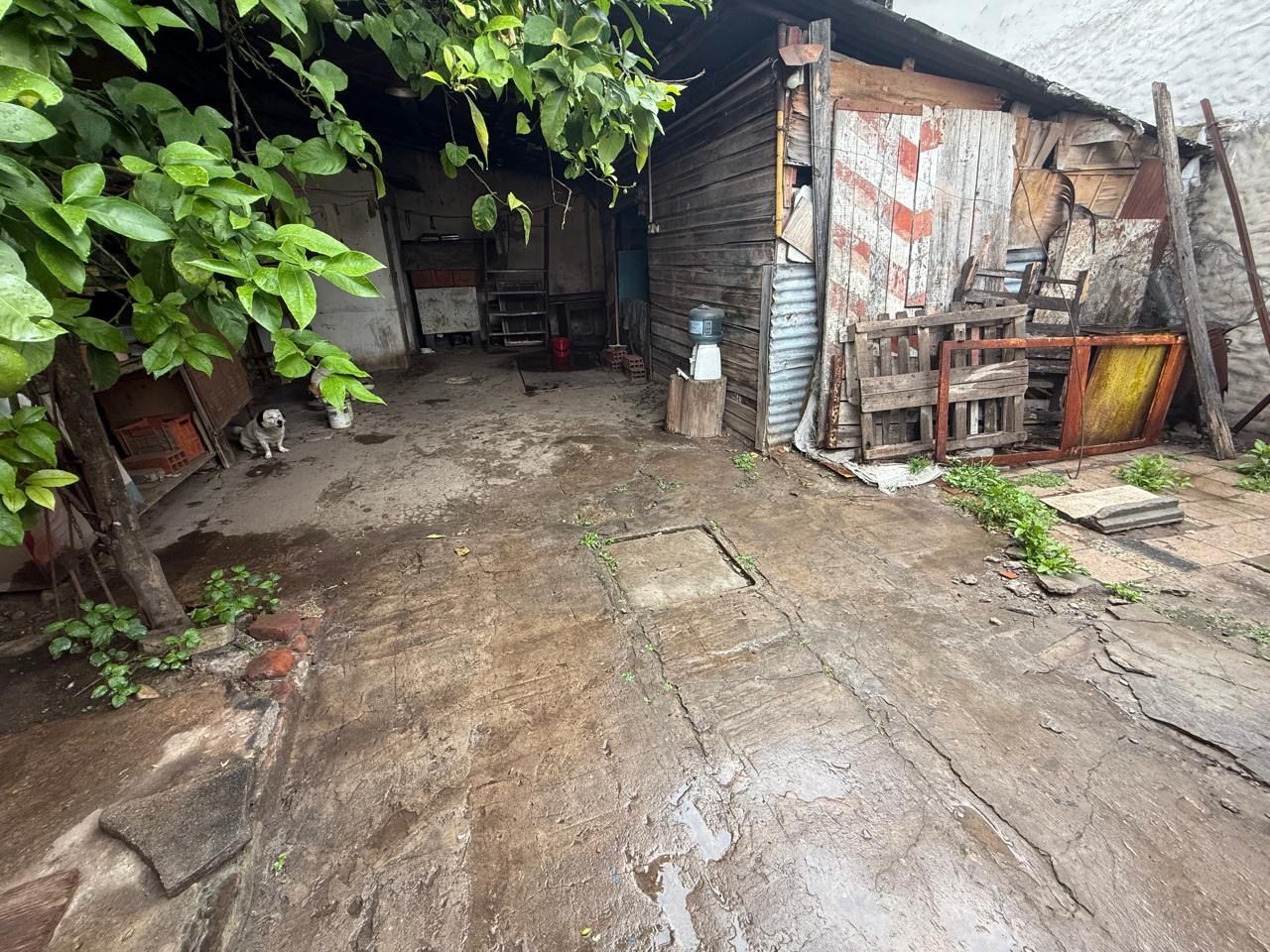 VENTA DE LOTE EN La Matanza - Rafael Castillo - 37