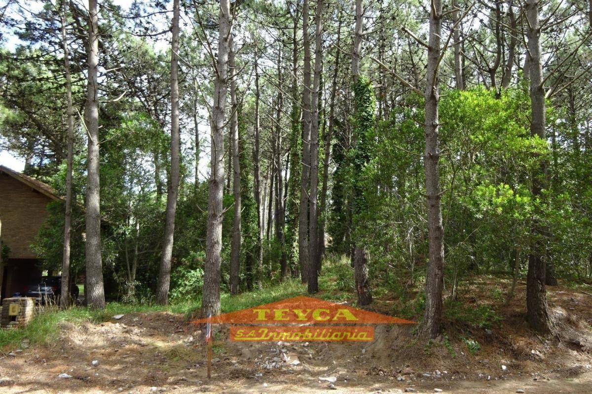 Lote en venta Norte 0 ambientes