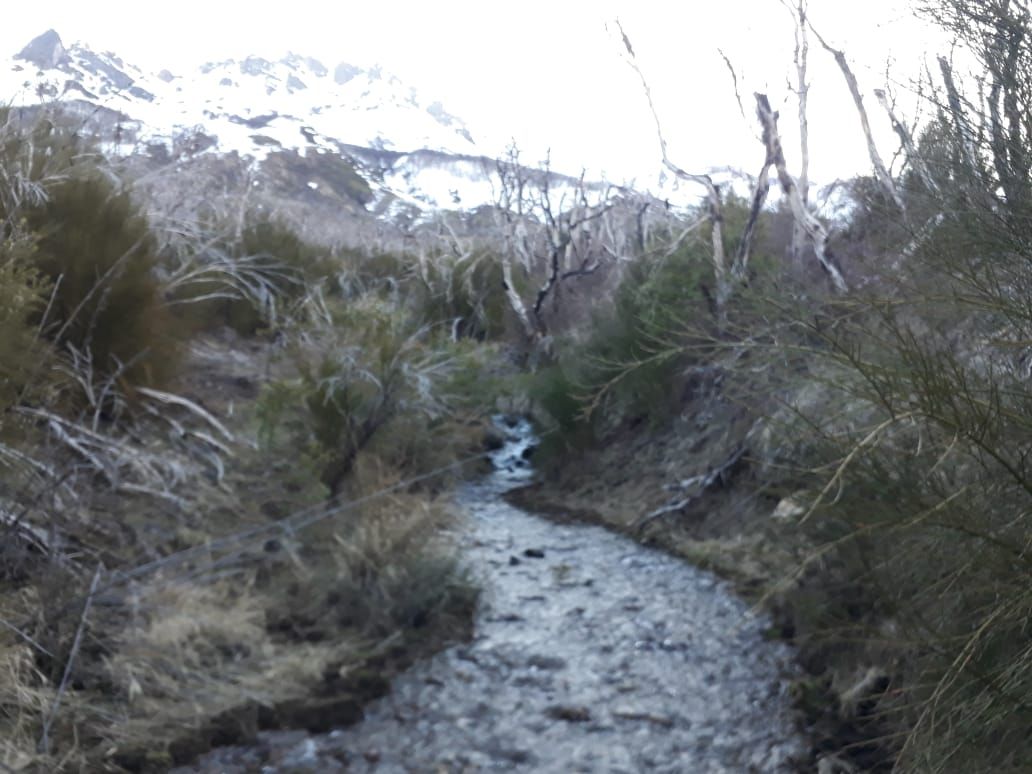 Campo EN VENTA