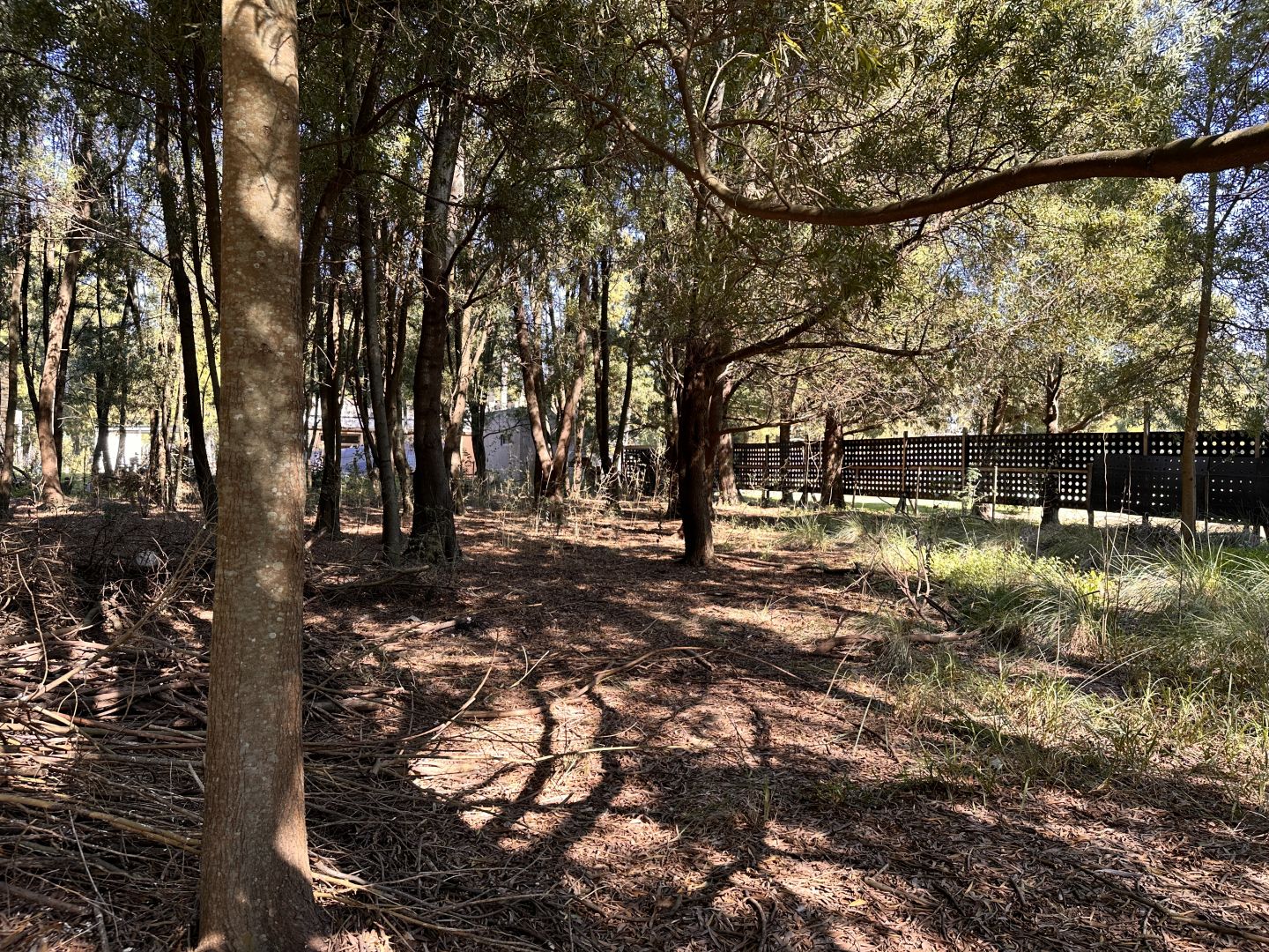 Lote EN VENTA