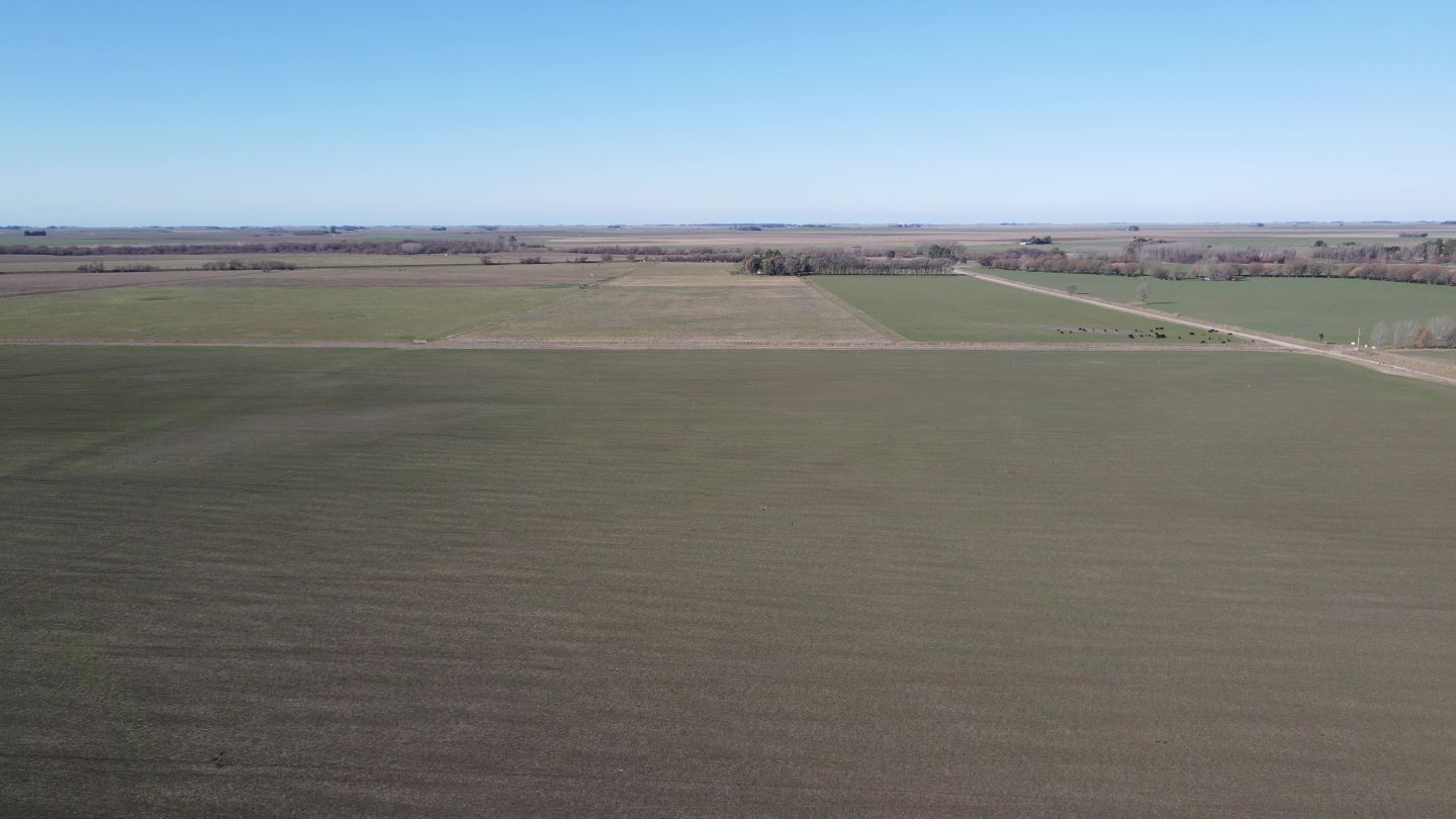 Campo EN VENTA
