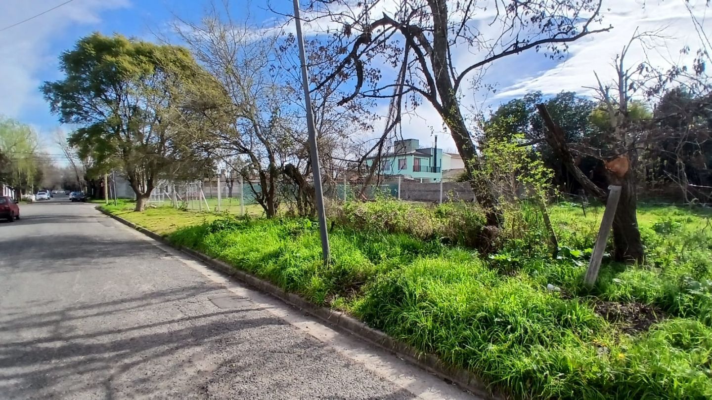 Imagen 5